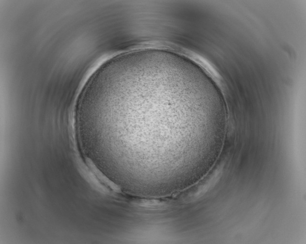 X0000114160907200910221605