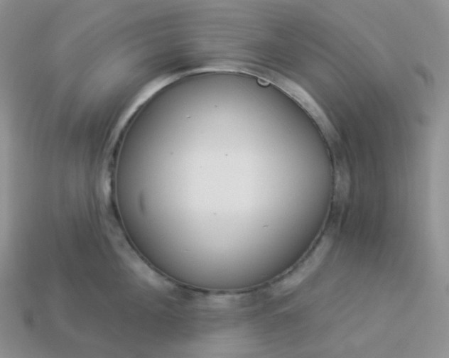 X0000114160908200910221605