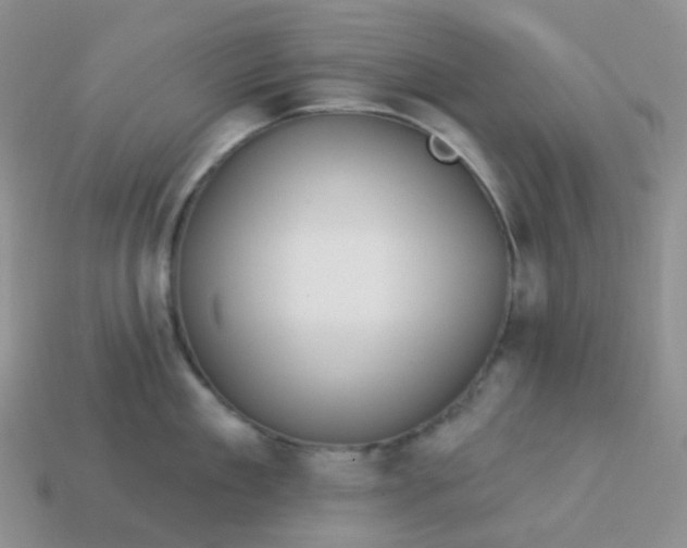 X0000114160909200910221605