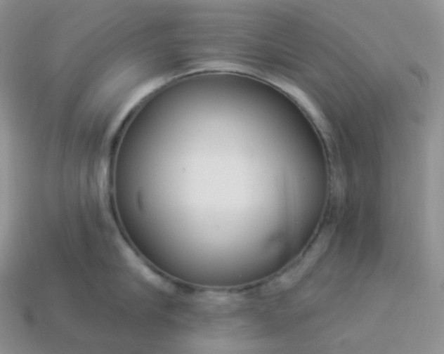 X0000114160910200910221605