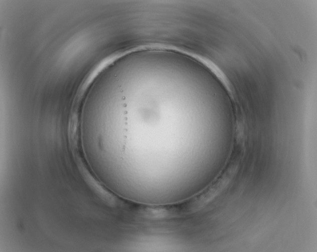 X0000114160911200910221605