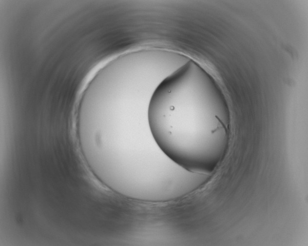 X0000114160912200910221605