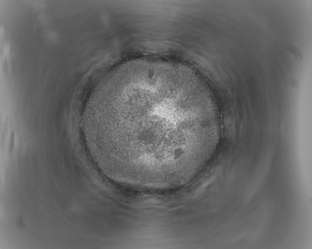 X0000114160913200910221605