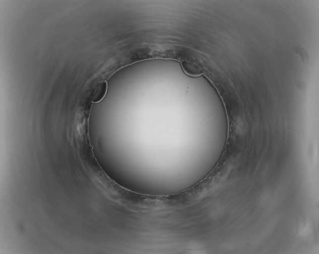 X0000114160914200910221605