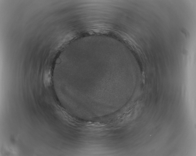 X0000114160915200910221605