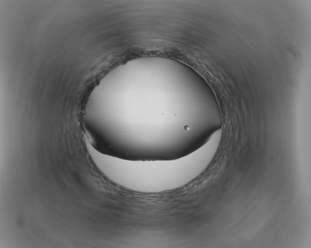 X0000114160916200910221605