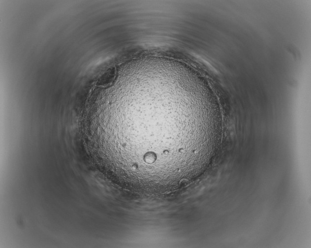 X0000114160917200910221605