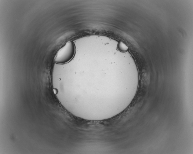 X0000114160918200910221605