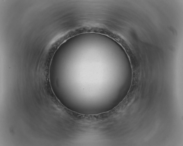 X0000114160919200910221605