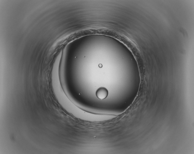 X0000114160920200910221605