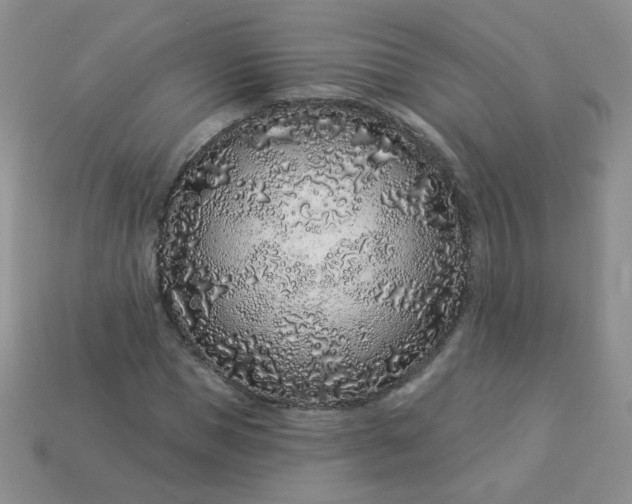 X0000114160921200910221605