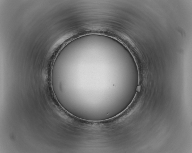 X0000114160922200910221605