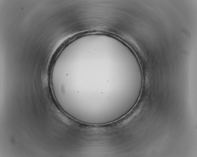 X0000114160924200910221605