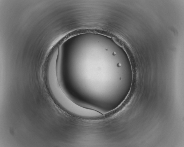 X0000114160925200910221605