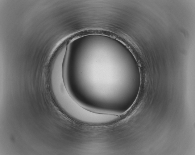 X0000114160926200910221605