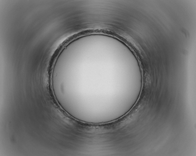 X0000114160927200910221605