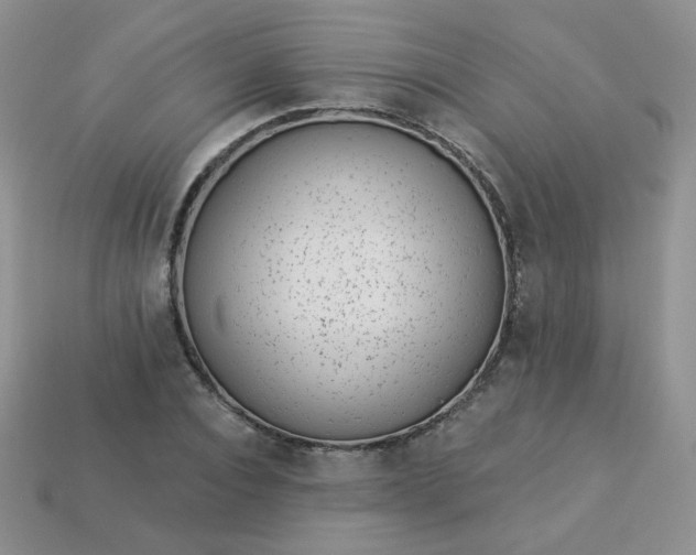 X0000114160928200910221605