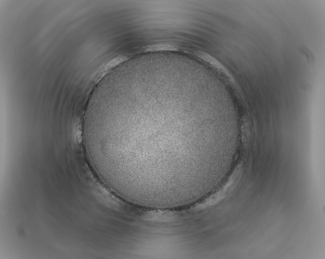 X0000114160929200910221605