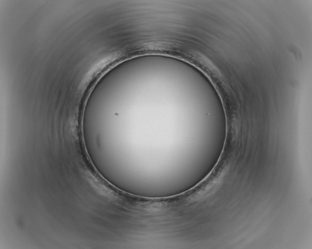 X0000114160930200910221605