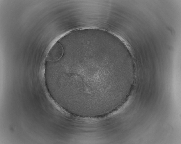 X0000114160933200910221605