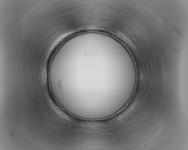 X0000114160934200910221605