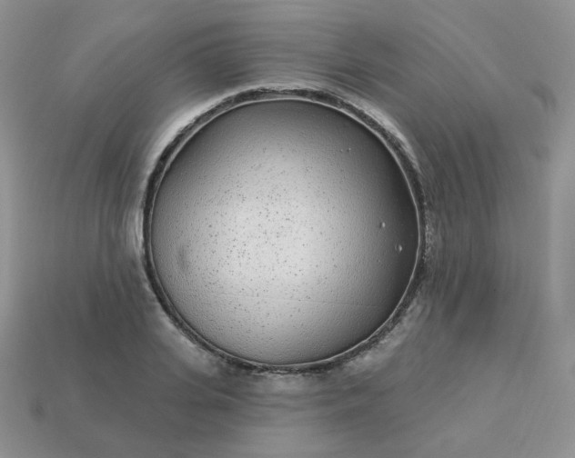 X0000114160935200910221605