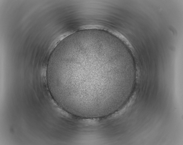 X0000114160937200910221605