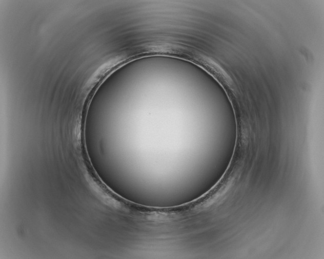 X0000114160938200910221605