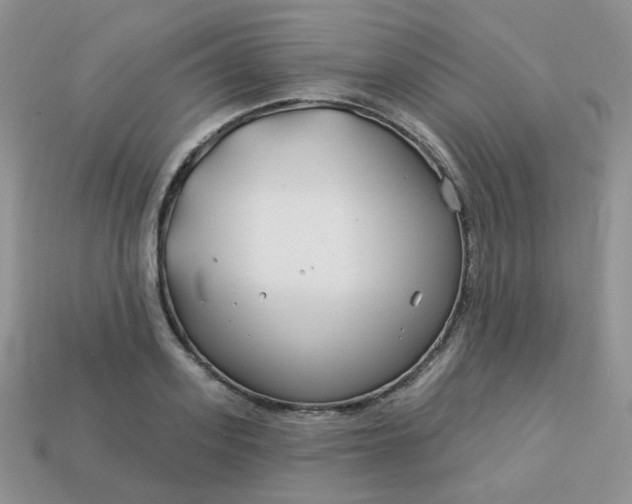 X0000114160939200910221605