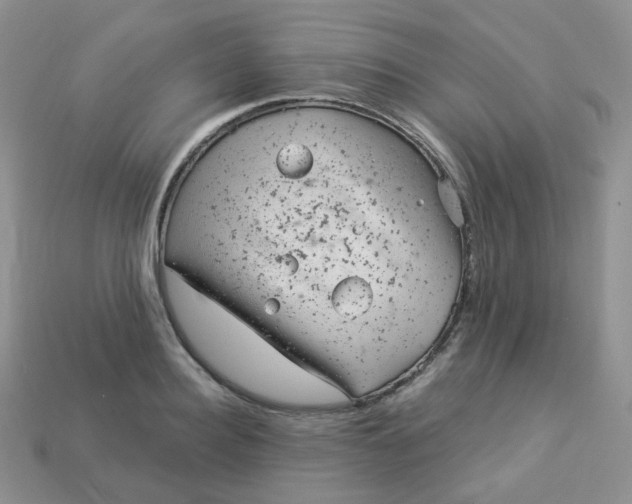 X0000114160940200910221605