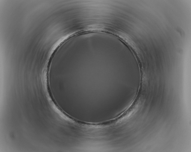 X0000114160941200910221605