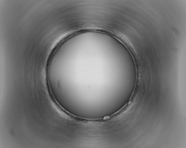 X0000114160942200910221605