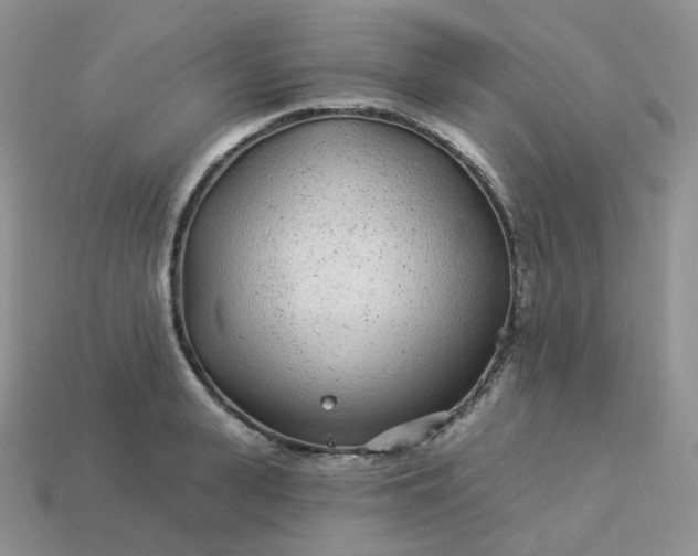 X0000114160943200910221605