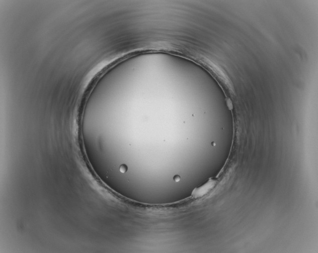 X0000114160944200910221605