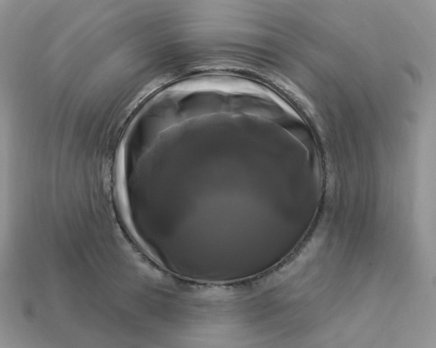 X0000114160945200910221605