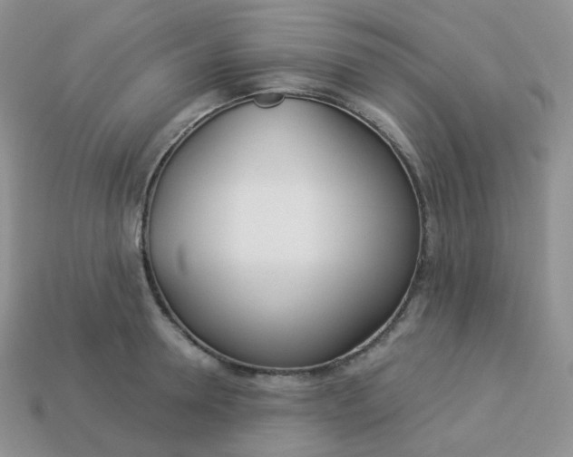 X0000114160946200910221605