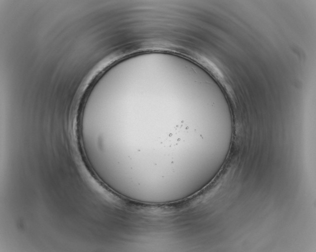 X0000114160947200910221605