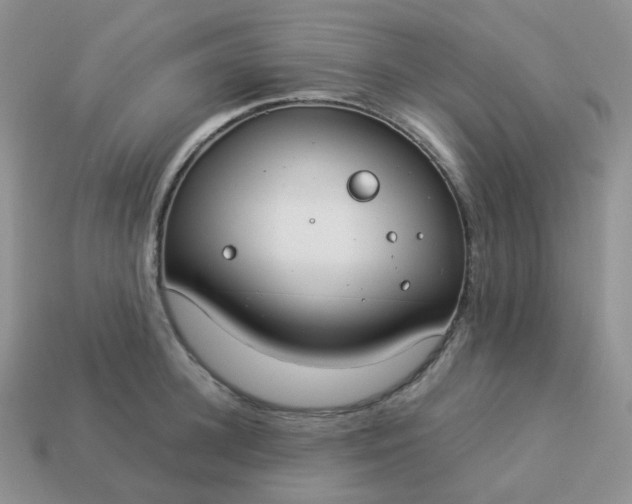 X0000114160948200910221605