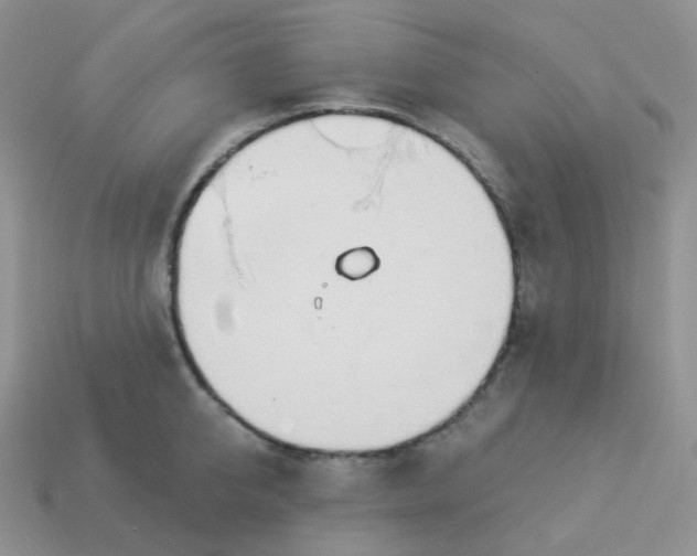 X0000114160950200910221605