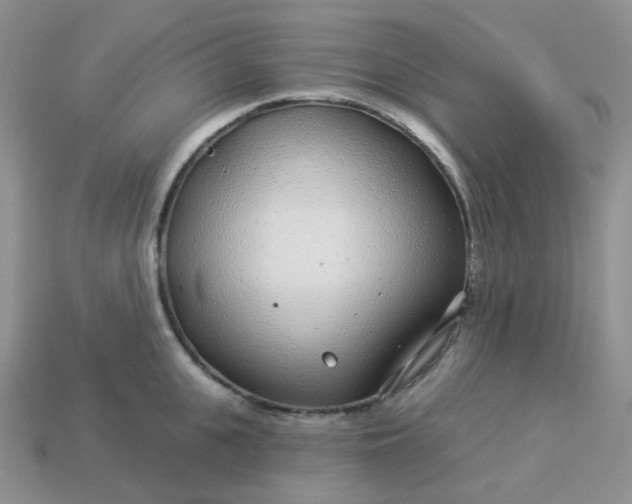 X0000114160951200910221605