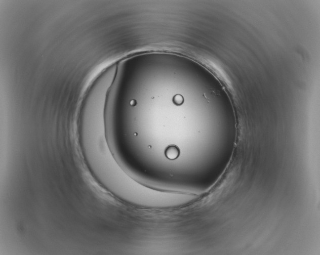 X0000114160952200910221605