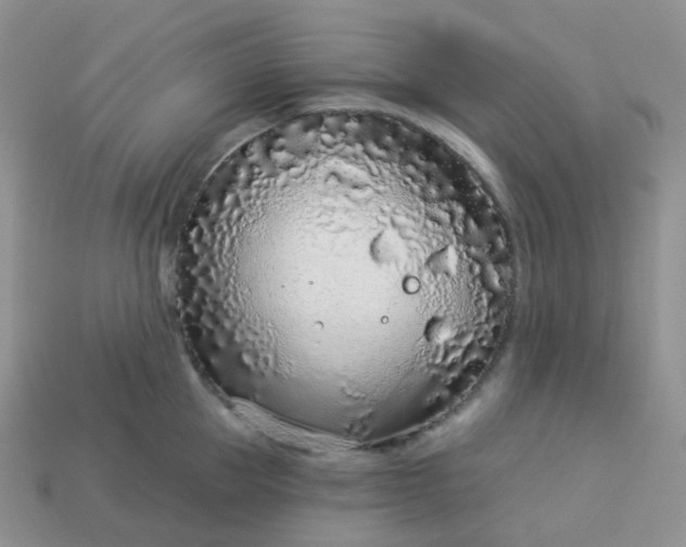 X0000114160953200910221605