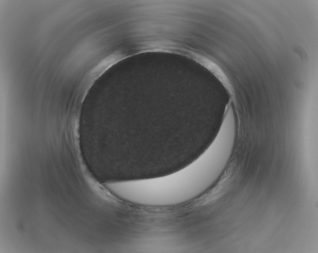 X0000114160954200910221605