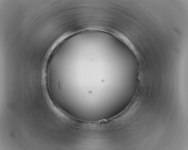 X0000114160955200910221605