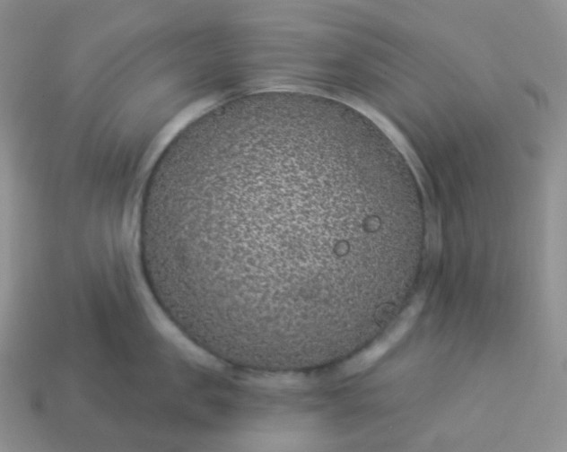 X0000114160957200910221605