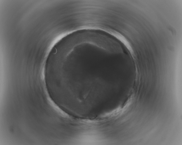 X0000114160958200910221605