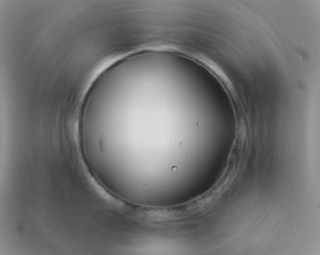 X0000114160959200910221605