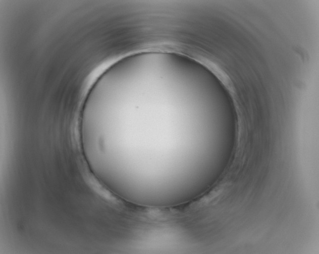 X0000114160960200910221605