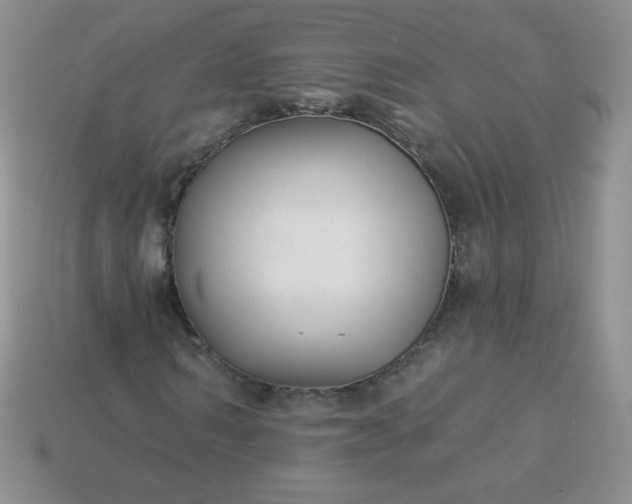 X0000114160962200910221605