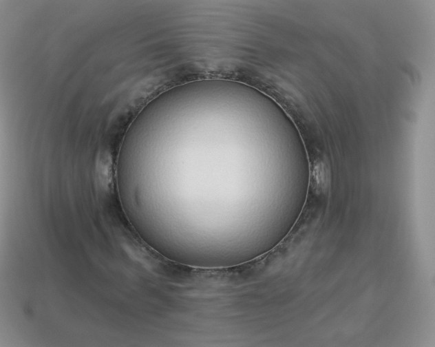 X0000114160963200910221605